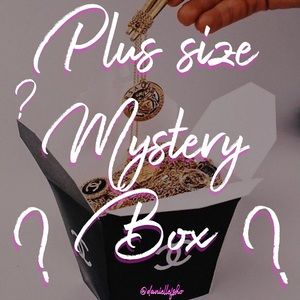 PLUS SIZE MYSTERY BOX